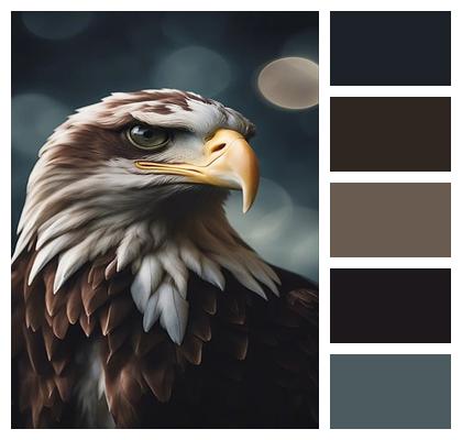 Bird Eagle Ai Generated Image
